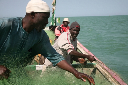 fishing with seine nets